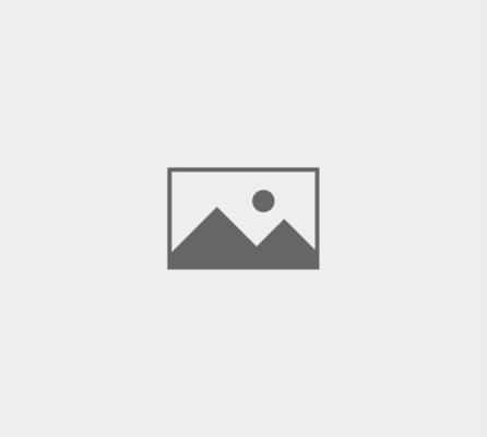 百度竞价关键词采集工具 百度搜索关键词流量查询工具 百度竞价关键词搜索量查询工具