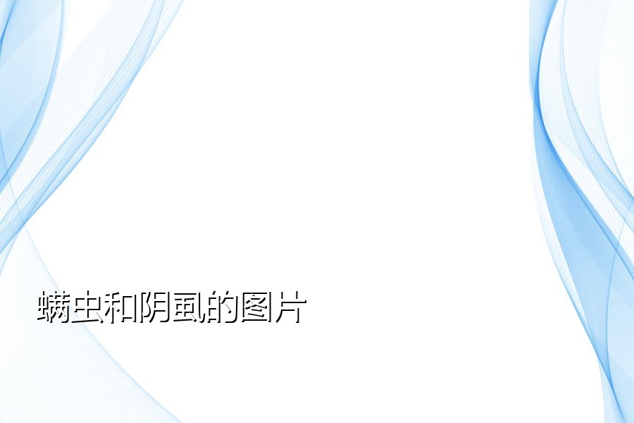 螨虫和阴虱的图片
