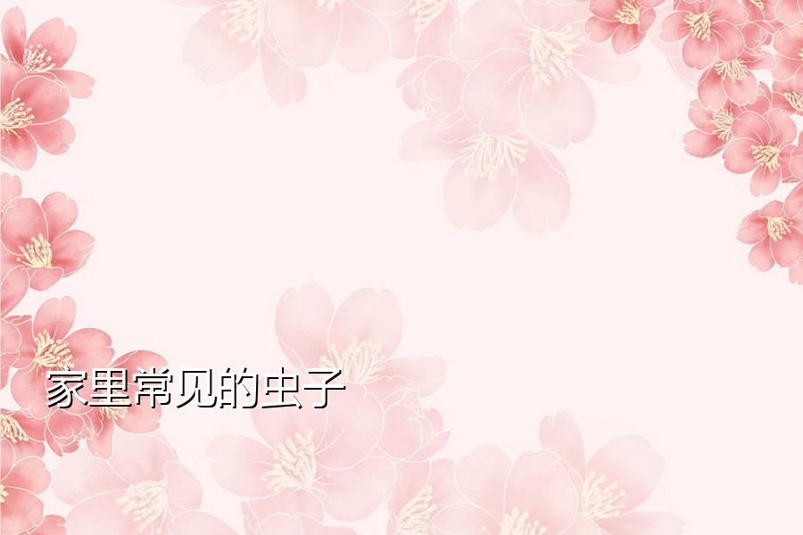 家里常见的虫子