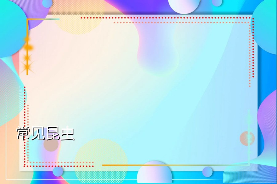 常见昆虫