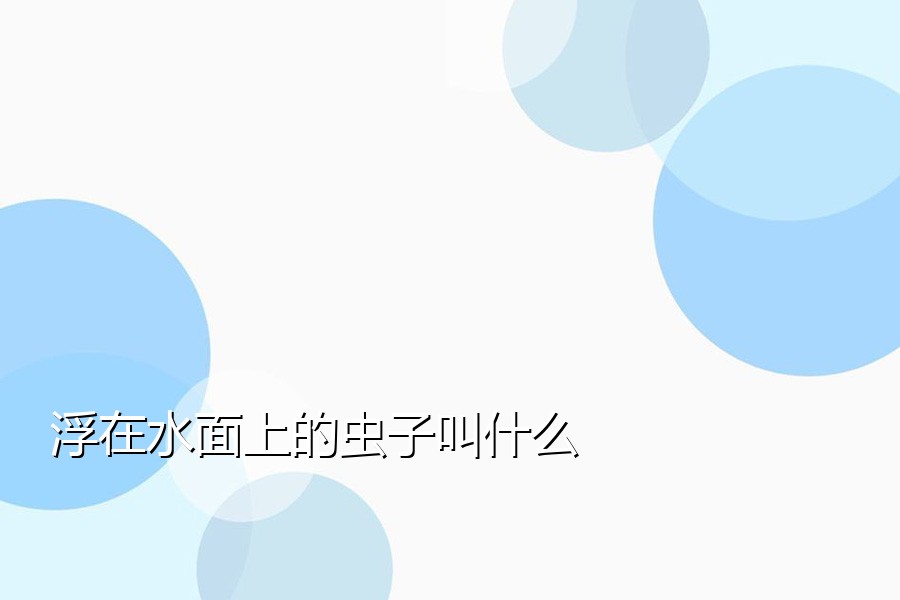 浮在水面上的虫子叫什么